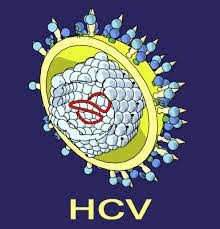 Hỗ trợ, chăm sóc và điều trị bệnh nhân viêm gan virus C